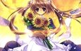 anime, mädchen, sunflowers, weißes kleid