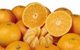 фрукты, апельсины, мандарин, цитрусы