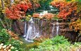 деревья, вода, камни, листья, водопад, осень, мох