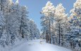 небо, дорога, снег, природа, зима, сша, колорадо,     деревья