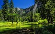 деревья, река, горы, лес, калифорния, йосемити, йосемитский национальный парк, сьерра-невада, ка­ли­фор­нийс­кая,     деревья, река мерсед, merced river