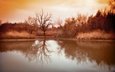 озеро, дерево, отражение, фон, осень