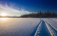 снег, природа, лес, зима, дорожка, финляндия