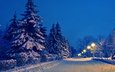 дорога, ночь, деревья, фонари, огни, снег, природа, зима, парк, алея,     деревья