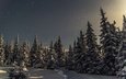 снег, природа, зима, россия,     деревья, национальный парк иремель, белорецк