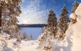 небо, облака, озеро, снег, зима, иней, россия, сосны, арсений кашкаров, озеро ястребиное, ленинградская область