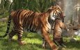 тигр, трава, тигренок, детеныш, большие кошки, материнство, тигрица, тигры
