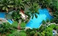 вода, природа, зелень, кусты, пальмы, бассейн, курорт, растительность
