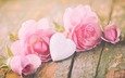 цветы, розы, сердечко, сердце, доски