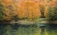река, природа, лес, отражение, осень