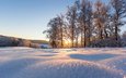деревья, снег, природа, зима, парк, солнечный свет