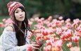 цветы, природа, девушка, тюльпаны, шапка, азиатка