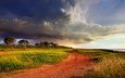 небо, дорога, облака, деревья, природа, австралия, шторм, циклон, погода, берегу