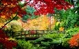 деревья, природа, растения, листья, пейзаж, парк, мост, осень