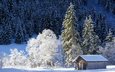 деревья, снег, природа, лес, зима, домик, германия, бавария