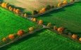 деревья, поле, вид сверху, осень, германия, северный рейн-вестфалия, ноттульн