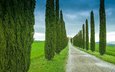 небо, дорога, трава, деревья, италия, тоскана, кипарис