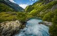 деревья, река, горы, камни, ущелье, норвегия, течение, sogn og fjordane, aurland