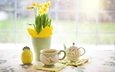цветы, напиток, кружка, чай, чайник, нарциссы