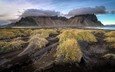 трава, облака, горы, природа, пейзаж, исландия, чёрный песок, вулканический песок