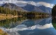 озеро, горы, лес, отражение, канада, альберта, банф, провинция альберта, национальный парк банф, канадские скалистые горы, озеро джонсон, johnson lake
