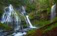 деревья, природа, лес, водопад, panther creek falls, gifford pinchot национальный лес