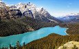 небо, озеро, горы, природа, лес, канада, национальный парк банф, озеро пейто