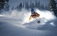 деревья, снег, зима, скорость, лыжник, лыжи, экстрим, горнолыжный спорт