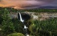 деревья, природа, лес, пейзаж, водопад, канада, британская колумбия, национальный парк, водопад хелмкен