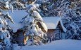 деревья, снег, природа, зима, домики, сша, аляска