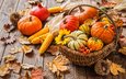 листья, осень, кукуруза, корзина, урожай, тыквы, каштаны, alexander raths, осень.урожай