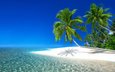 природа, пейзаж, море, пляж, пальмы, остров, курорт, тропики, сейшелы, atanas bozhikov