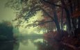 река, природа, лес, туман, осень