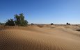 природа, пейзаж, песок, пустыня, дюны