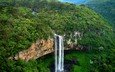 деревья, скалы, водопад, мох, бразилия, cascata do caracol, каракол