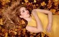листья, девушка, взгляд, осень, модель, волосы, лицо, макияж, желтое платье