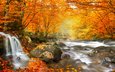 деревья, река, камни, лес, листья, водопад, осень, румыния