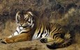 тигр, картина, кошка, животное, жан-леон жером