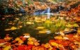 вода, листья, водопад, осень, поток