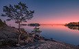 деревья, камни, закат, остров, финляндия, финский залив