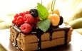 мята, малина, ягоды, вишня, шоколад, ежевика, смородина, пирожное, тортик