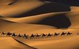 песок, люди, пустыня, караван, верблюды
