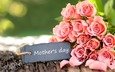цветы, розы, букет, розовый, праздник, день матери