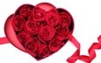 цветы, розы, сердечко, сердце, красные розы