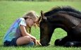 лошадь, трава, дети, девочка, животное, друзья, жеребенок