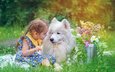 цветы, трава, природа, собака, дети, девочка, животное, друзья