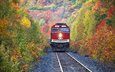 деревья, железная дорога, лес, осень, поезд