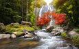 река, природа, лес, водопад, осень, поток, таиланд, patrick foto, канчанабури