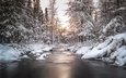 деревья, река, снег, природа, лес, зима