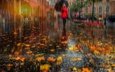 листья, девушка, город, осень, улица, россия, дождь, зонт, санкт-петербург